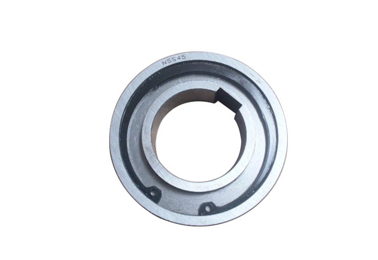 AS50 cam holdback clutch bearing